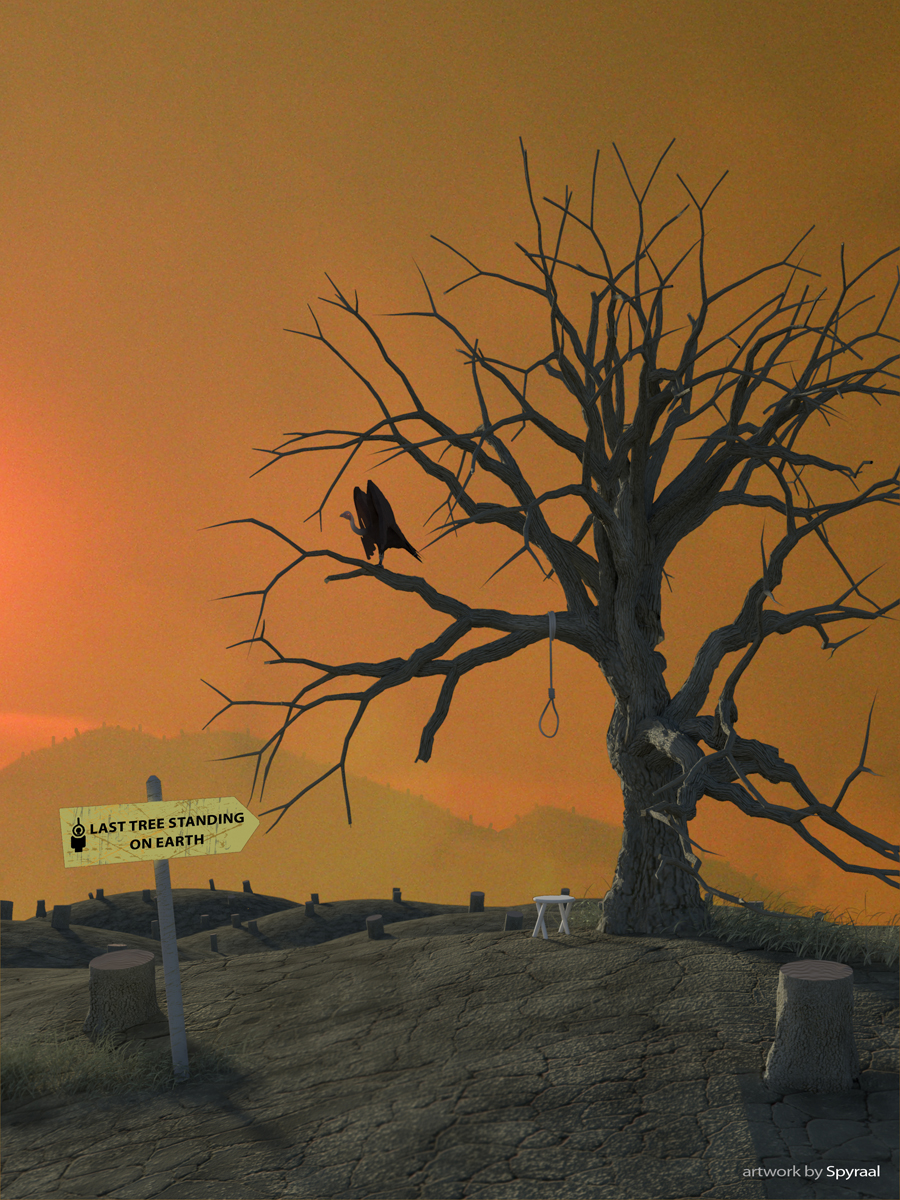 Last Tree Standing... Last Tree Standing...